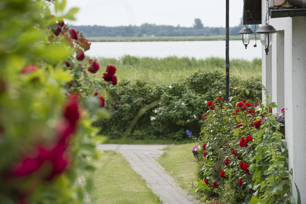 Pension Deichgraf Middelhagen Zewnętrze zdjęcie